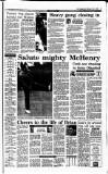 Irish Independent Saturday 03 July 1993 Page 15