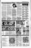 Irish Independent Monday 05 July 1993 Page 19