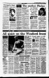 Irish Independent Wednesday 07 July 1993 Page 17