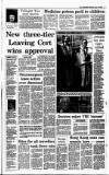 Irish Independent Saturday 10 July 1993 Page 3