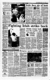 Irish Independent Saturday 10 July 1993 Page 13