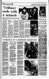 Irish Independent Saturday 10 July 1993 Page 33