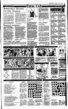 Irish Independent Monday 12 July 1993 Page 19