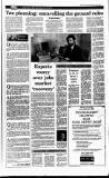 Irish Independent Thursday 22 July 1993 Page 31