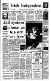 Irish Independent Saturday 07 August 1993 Page 1