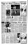 Irish Independent Saturday 07 August 1993 Page 13