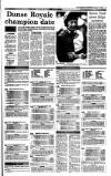 Irish Independent Wednesday 11 August 1993 Page 17