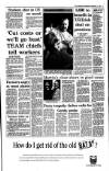 Irish Independent Wednesday 29 September 1993 Page 3