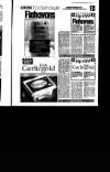 Irish Independent Wednesday 15 September 1993 Page 45