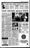Irish Independent Thursday 02 September 1993 Page 13
