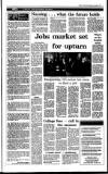 Irish Independent Thursday 02 September 1993 Page 29