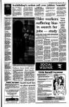 Irish Independent Tuesday 07 September 1993 Page 5