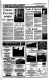 Irish Independent Wednesday 08 September 1993 Page 21