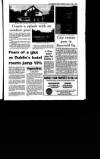 Irish Independent Friday 17 September 1993 Page 29