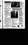 Irish Independent Tuesday 28 September 1993 Page 45