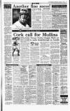 Irish Independent Wednesday 13 October 1993 Page 17