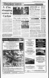 Irish Independent Wednesday 13 October 1993 Page 19