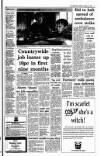 Irish Independent Saturday 30 October 1993 Page 5