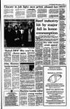 Irish Independent Friday 03 December 1993 Page 7