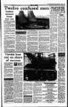 Irish Independent Saturday 04 December 1993 Page 23