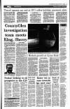 Irish Independent Friday 10 December 1993 Page 17