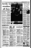 Irish Independent Saturday 11 December 1993 Page 21
