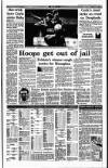 Irish Independent Monday 13 December 1993 Page 27