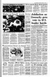 Irish Independent Saturday 18 December 1993 Page 3