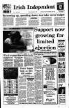 Irish Independent Friday 31 December 1993 Page 1