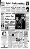 Irish Independent Tuesday 04 January 1994 Page 1