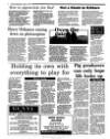 Irish Independent Tuesday 04 January 1994 Page 28