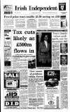Irish Independent Thursday 06 January 1994 Page 1