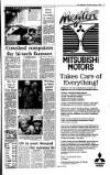 Irish Independent Thursday 06 January 1994 Page 11