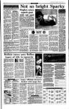 Irish Independent Monday 10 January 1994 Page 23