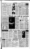 Irish Independent Wednesday 12 January 1994 Page 19