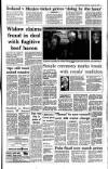 Irish Independent Saturday 15 January 1994 Page 7