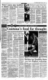 Irish Independent Monday 17 January 1994 Page 19
