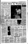 Irish Independent Wednesday 19 January 1994 Page 19