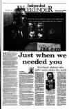 Irish Independent Saturday 12 February 1994 Page 25