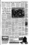 Irish Independent Tuesday 01 March 1994 Page 3