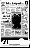 Irish Independent Saturday 02 April 1994 Page 1