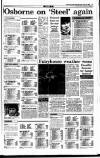 Irish Independent Saturday 02 April 1994 Page 17