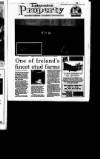 Irish Independent Friday 02 September 1994 Page 29
