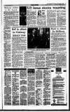 Irish Independent Wednesday 02 November 1994 Page 19
