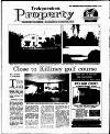 Irish Independent Friday 11 November 1994 Page 29