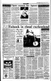 Irish Independent Friday 13 January 1995 Page 17
