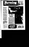 Irish Independent Tuesday 17 January 1995 Page 29