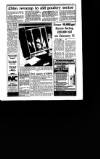 Irish Independent Tuesday 17 January 1995 Page 31