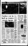 Irish Independent Wednesday 01 February 1995 Page 9