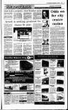 Irish Independent Wednesday 01 February 1995 Page 25